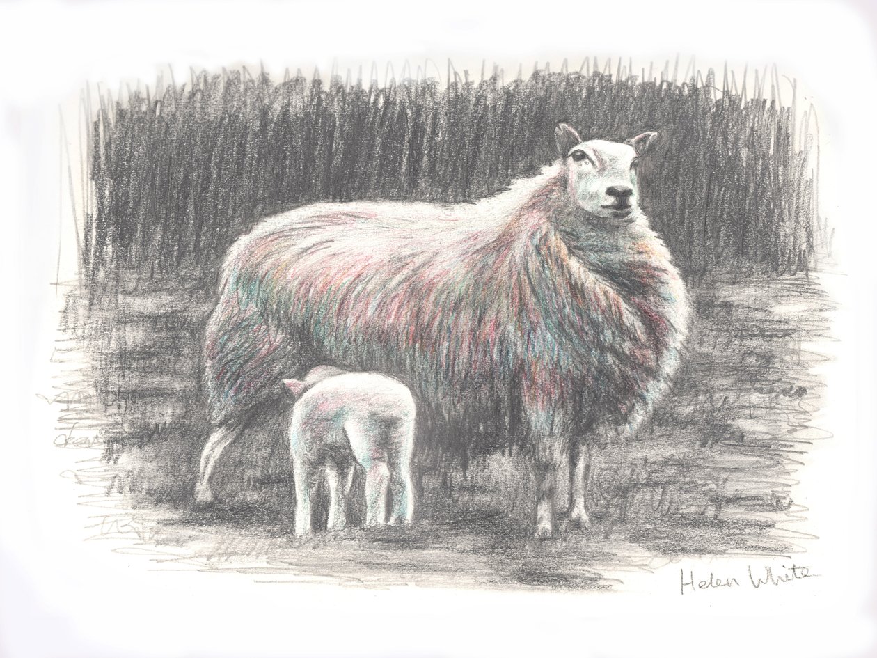 Orgulhoso, 2016, (desenho a lápis) de Helen White