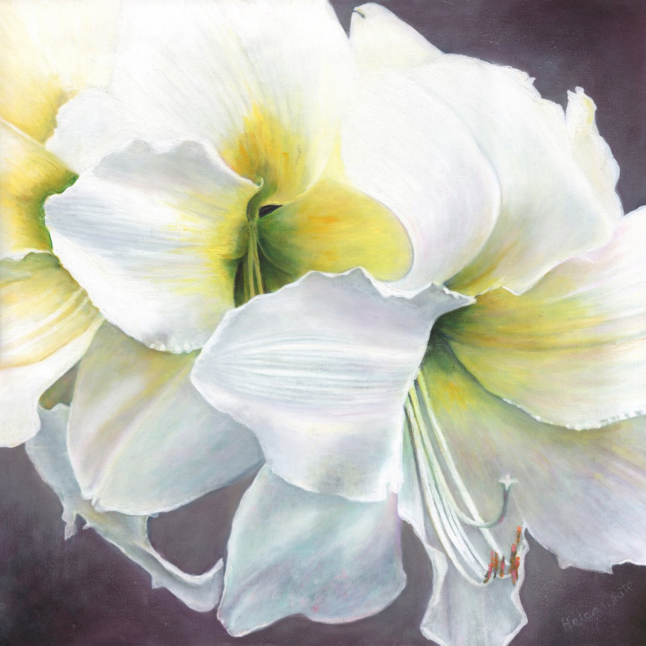 Potencial puro, 2016 de Helen White