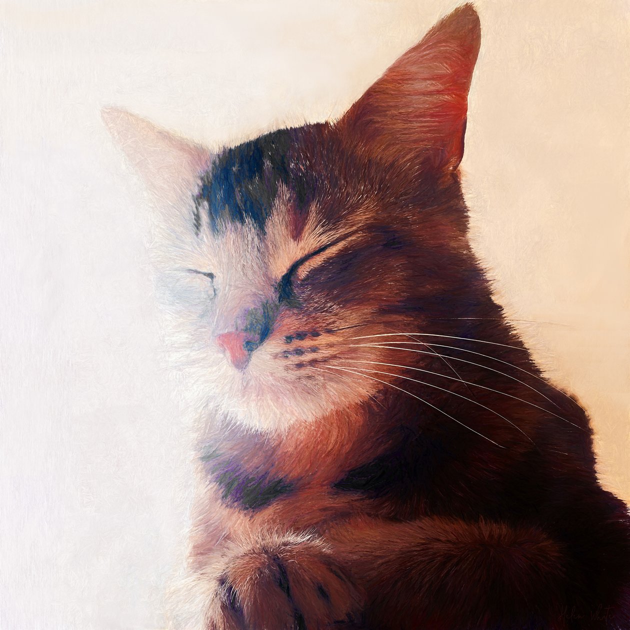 Purr-fect Spot, 2018 de Helen White