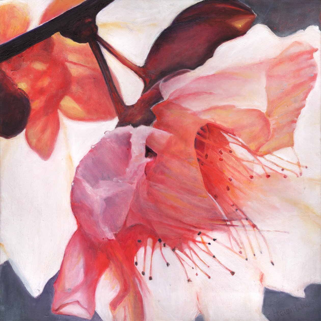 Dança Shakti, 2016, de Helen White