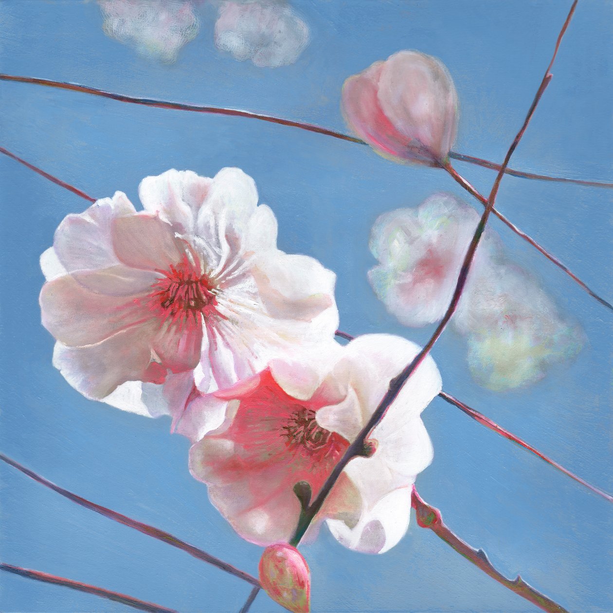 Começo Brilhante, 2015 de Helen White