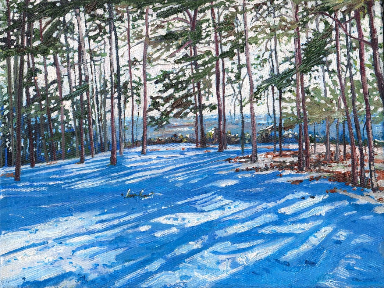 Snowy Ridge, 2009 de Helen White