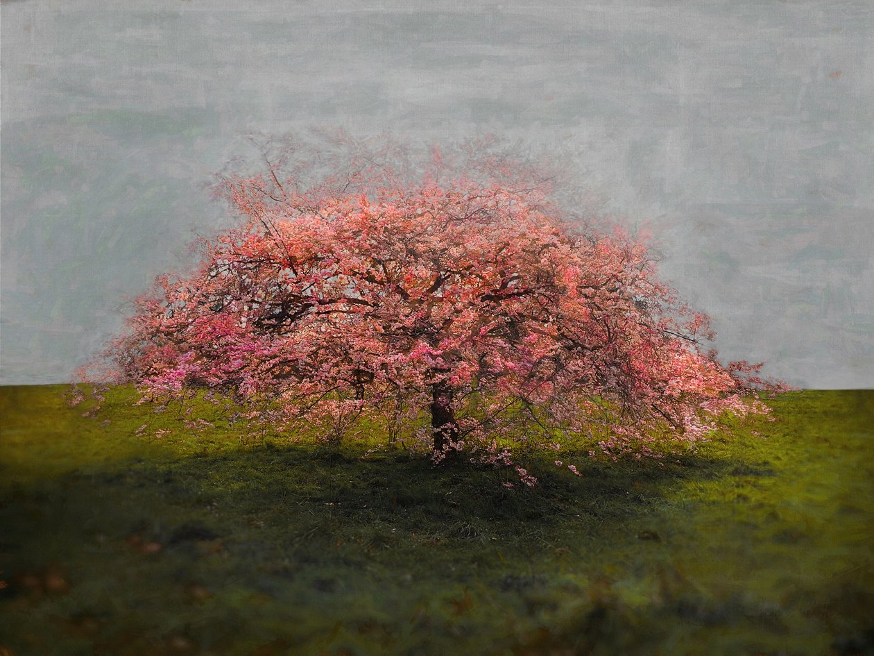 Stand Alone Beauty, 2019 de Helen White