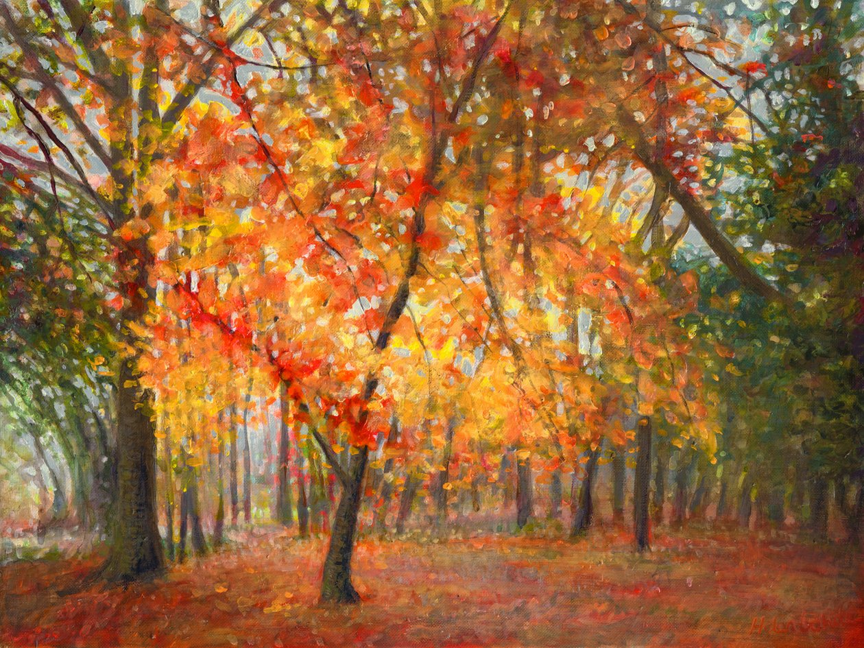 Destaque Beleza, 2022 de Helen White