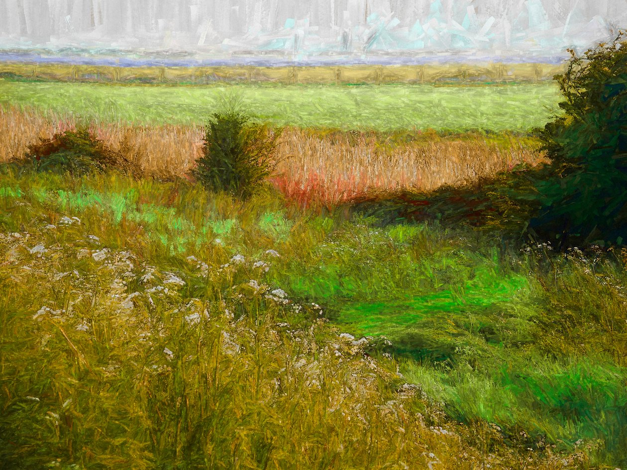 Summer Meadow, 2019 de Helen White