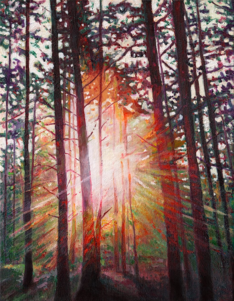 Sunburst, 2010 de Helen White