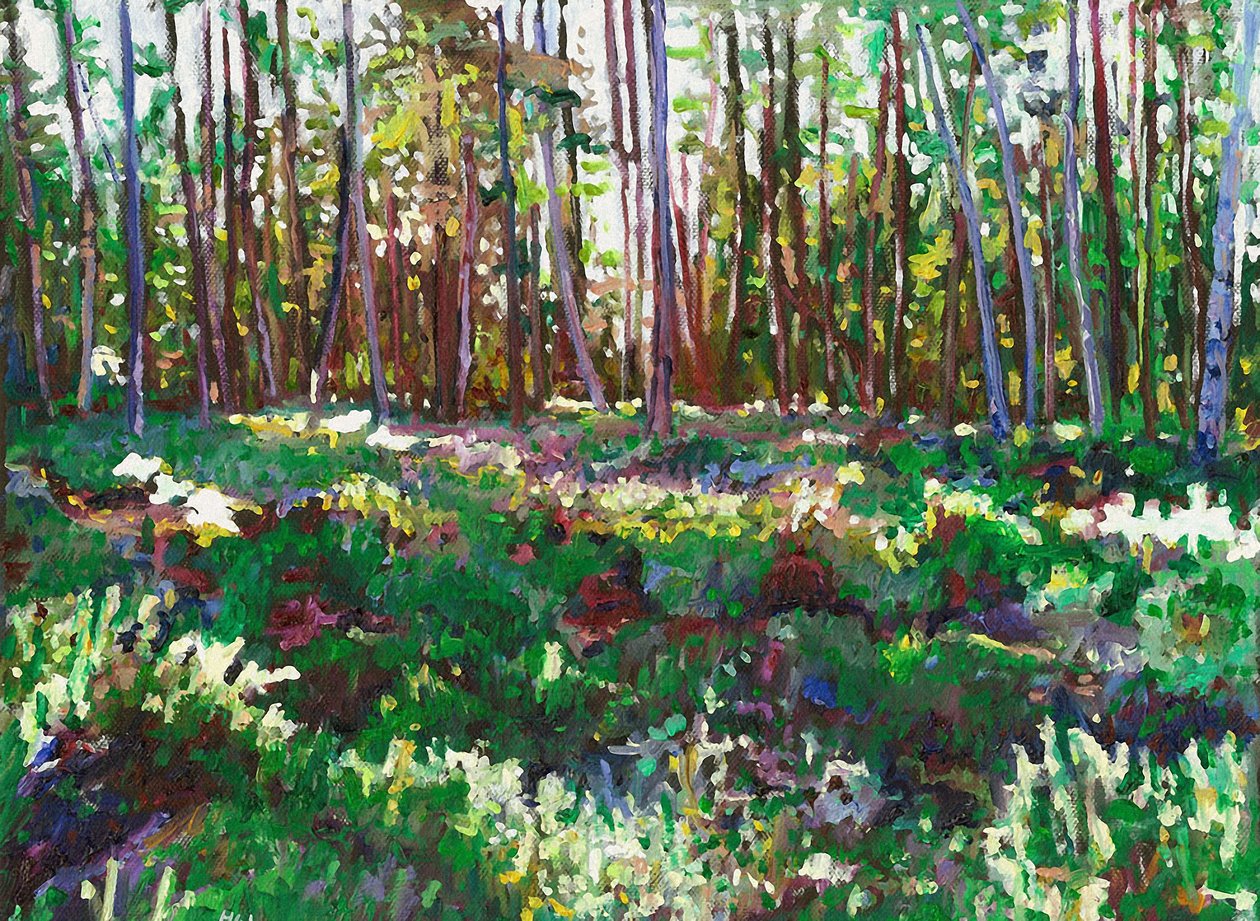 Luz solar sobre Heather, 2011 de Helen White