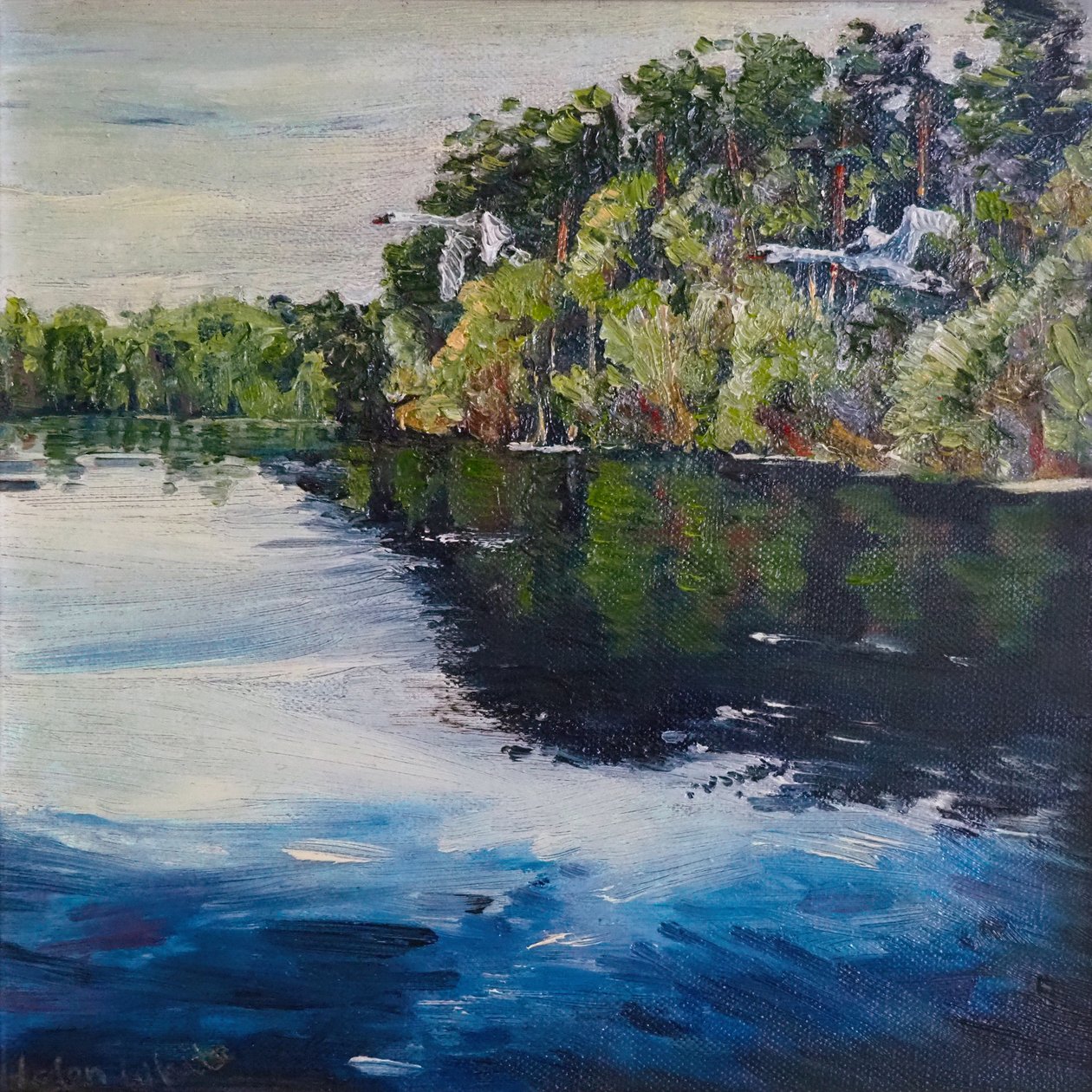 Swan Flight, 2008 de Helen White