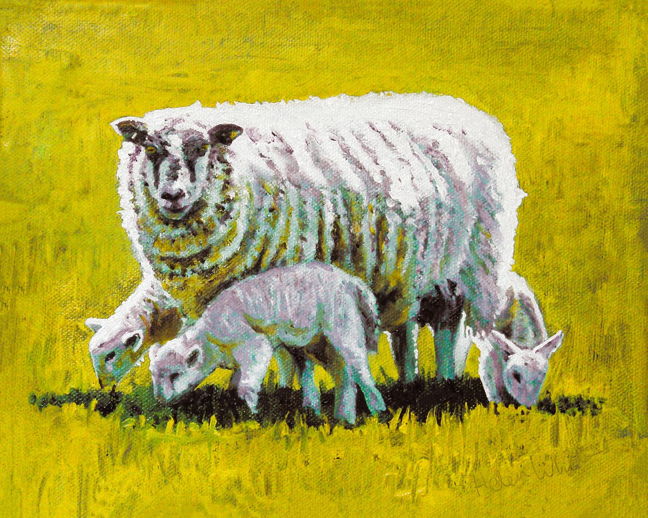 Juntos, 2009 (óleo sobre tela) de Helen White