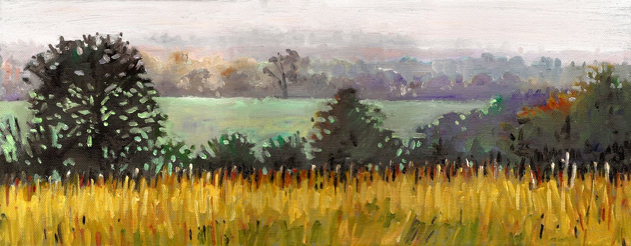 Towards Grazeley, 2012 (óleo sobre tela) de Helen White