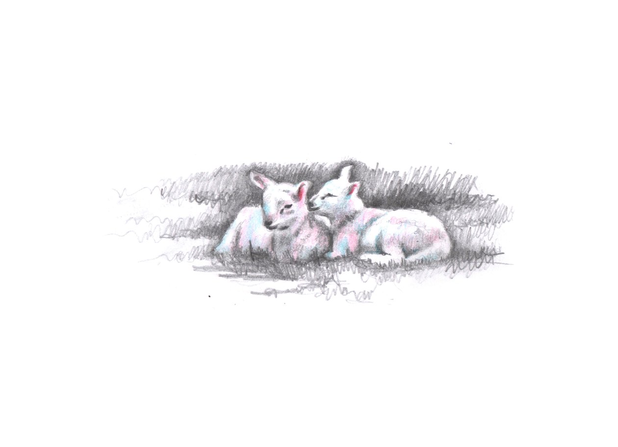 Geminada, 2016, (desenho a lápis) de Helen White