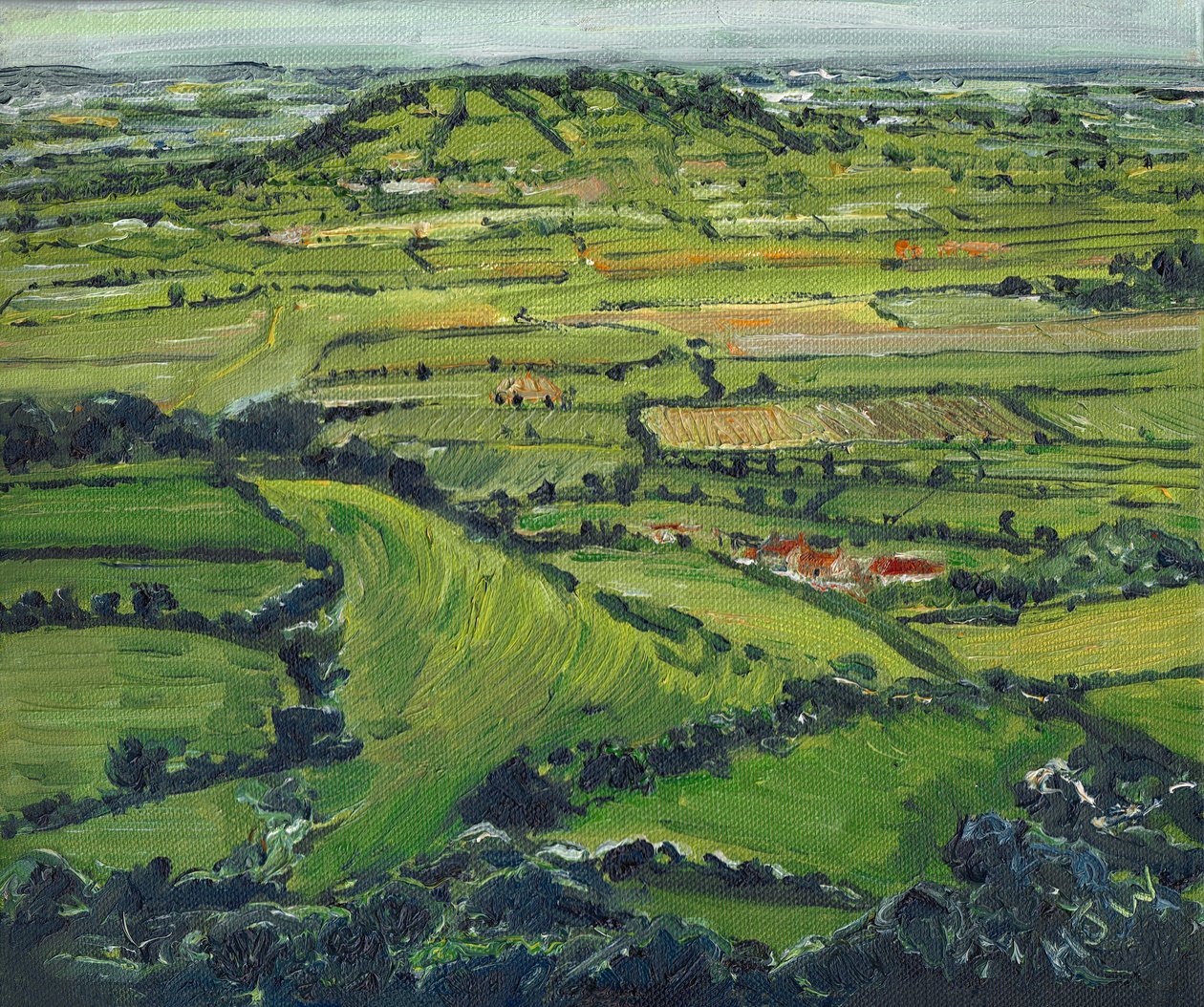 Vista do Tor II, 2008 de Helen White