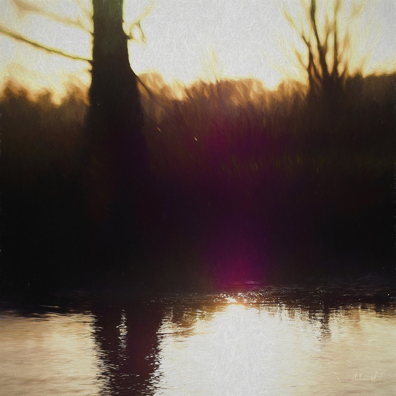 Violet Haze, 2018, de Helen White