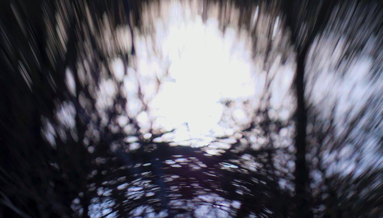 Tapeçaria de água III, 2017, (fotografia manipulada) de Helen White