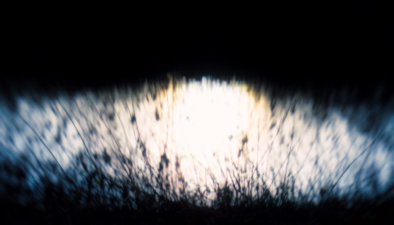 Tapeçaria de água IV, 2017, (fotografia manipulada) de Helen White