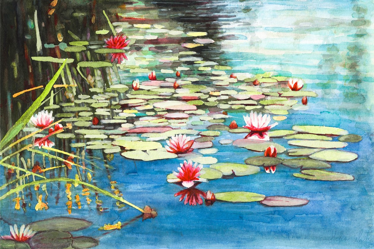 Nenúfares, 2021 (aquarela) de Helen White