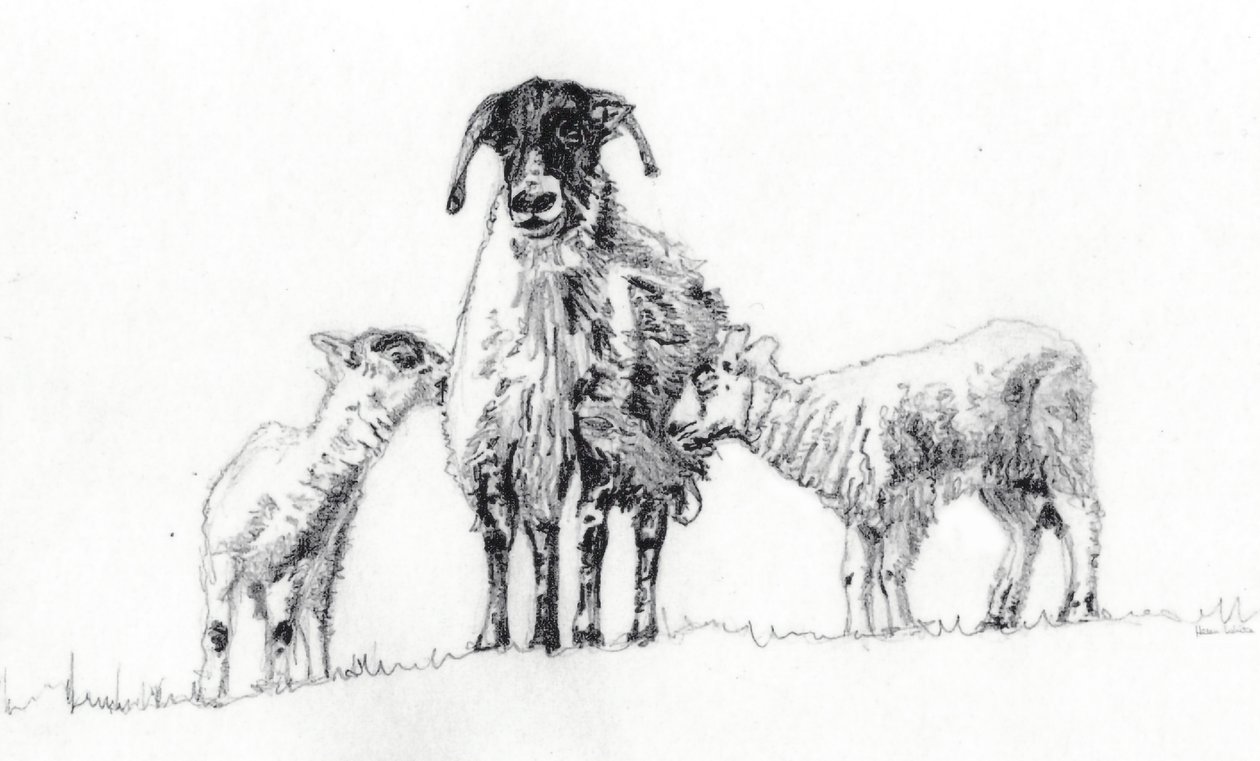 Nós Três, 2012 de Helen White