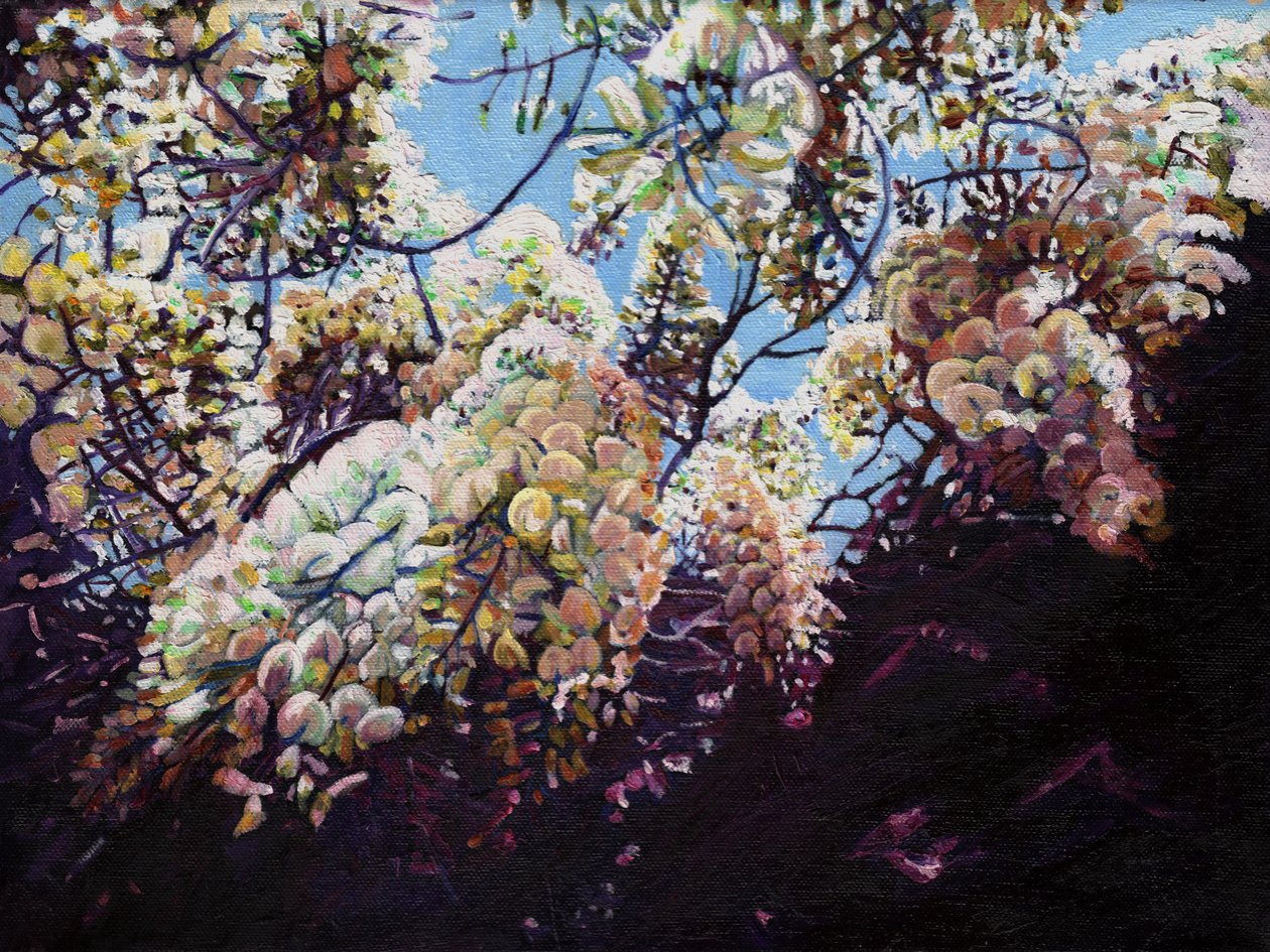 Glicínias brancas, 2012, de Helen White