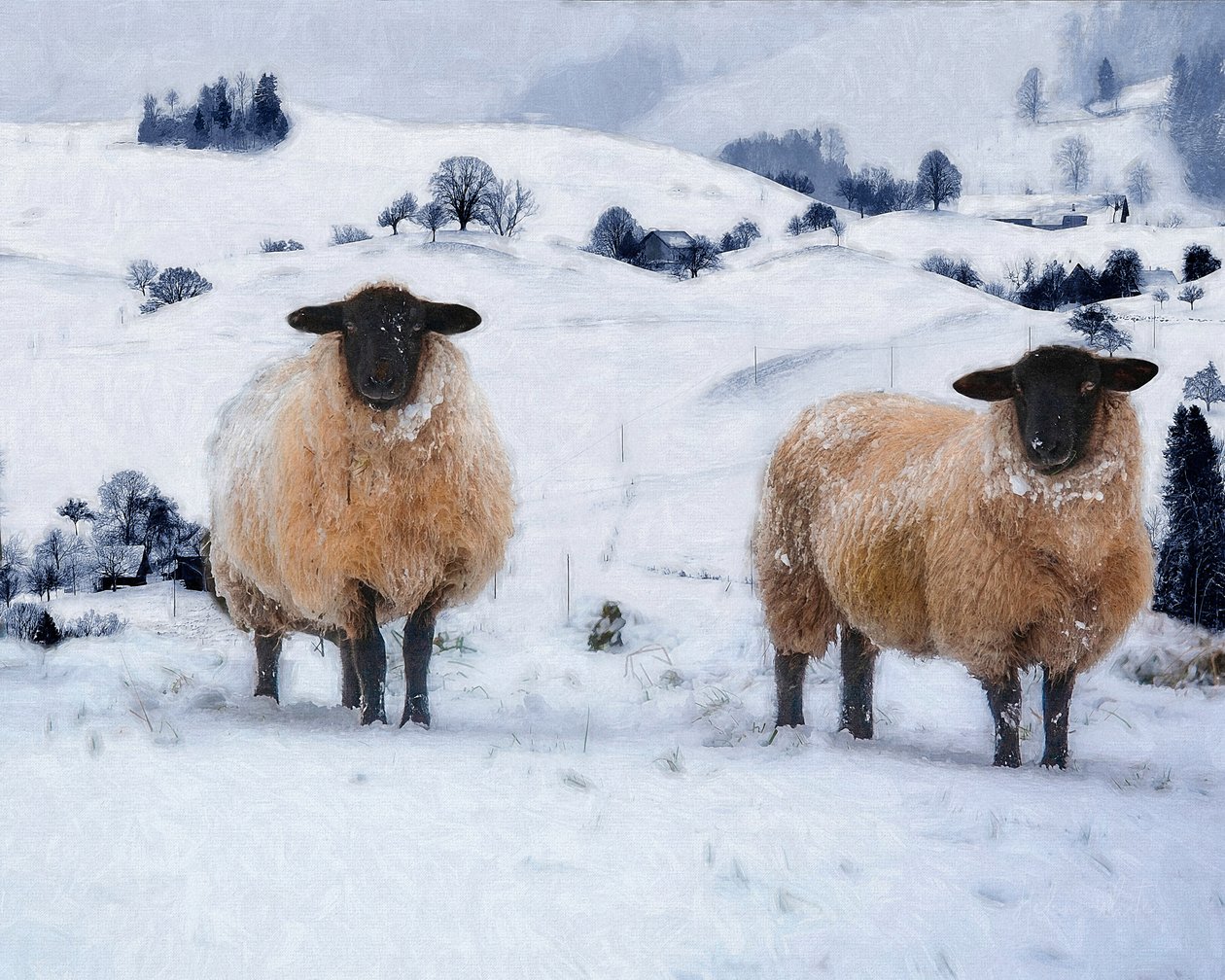Casacos de inverno, 2019 de Helen White