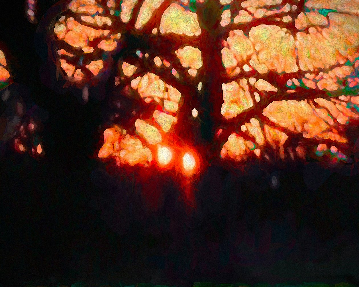Luz de inverno, 2019 de Helen White