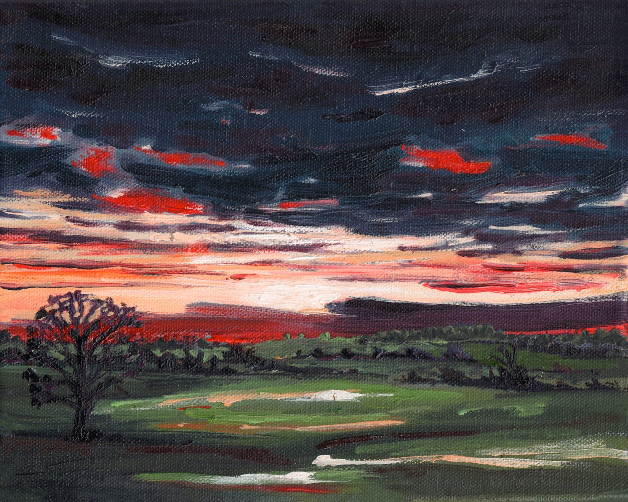 Pôr-do-sol de Inverno, 2008 de Helen White