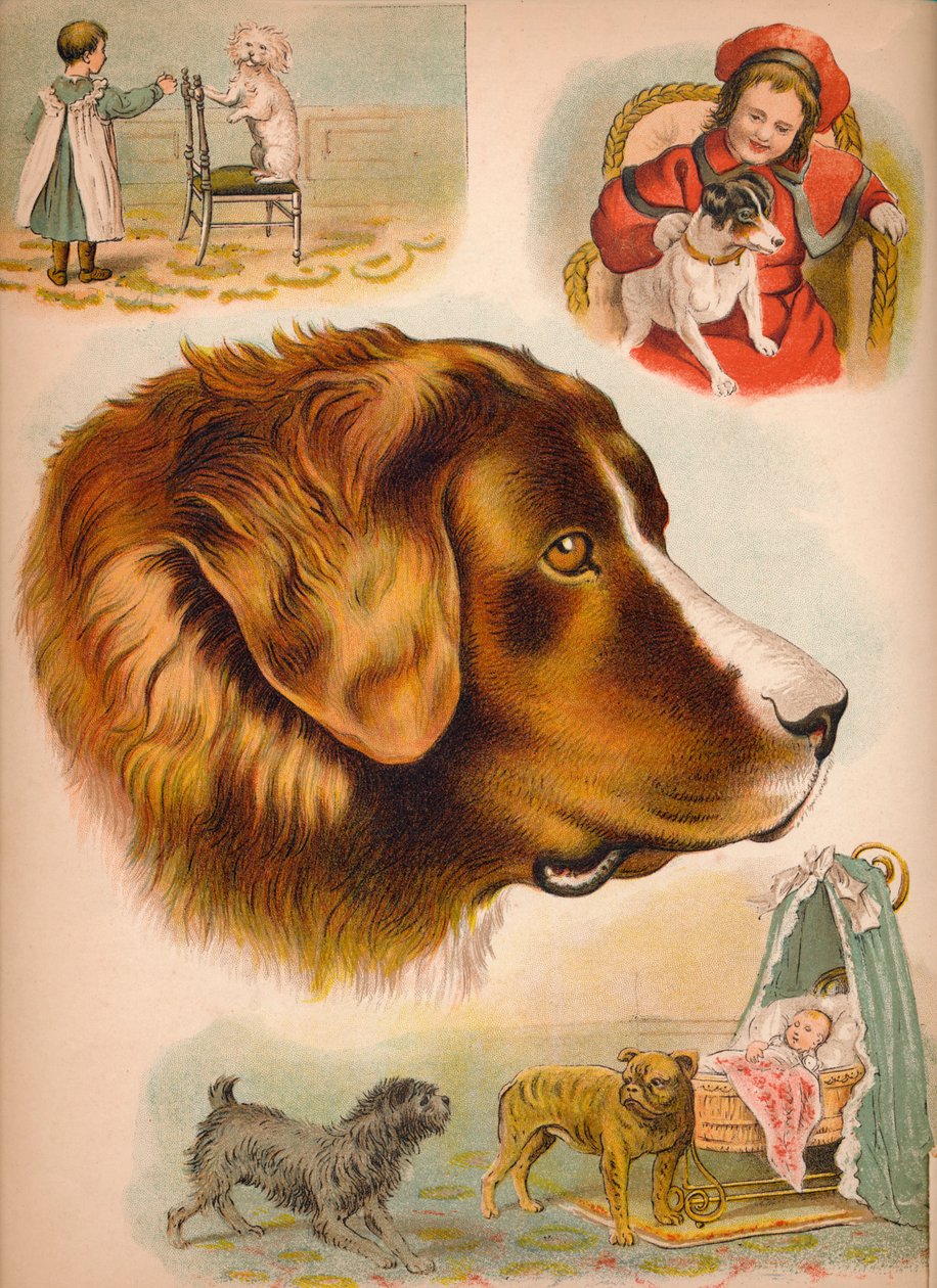 O cão, c1900 de Helena J. Maguire