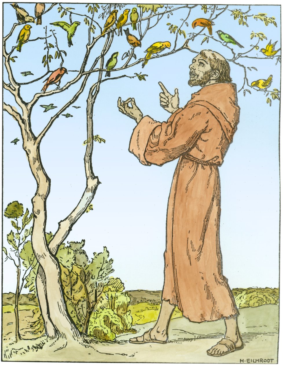 São Francisco de Assis (c.1181-1226) pregando aos pássaros (coloração posterior) de Hellmut Eichrodt