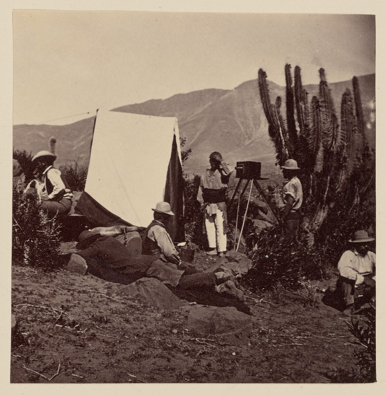 Cenas, Tamaya, Tongoy et cetera de Helsby and Co.
