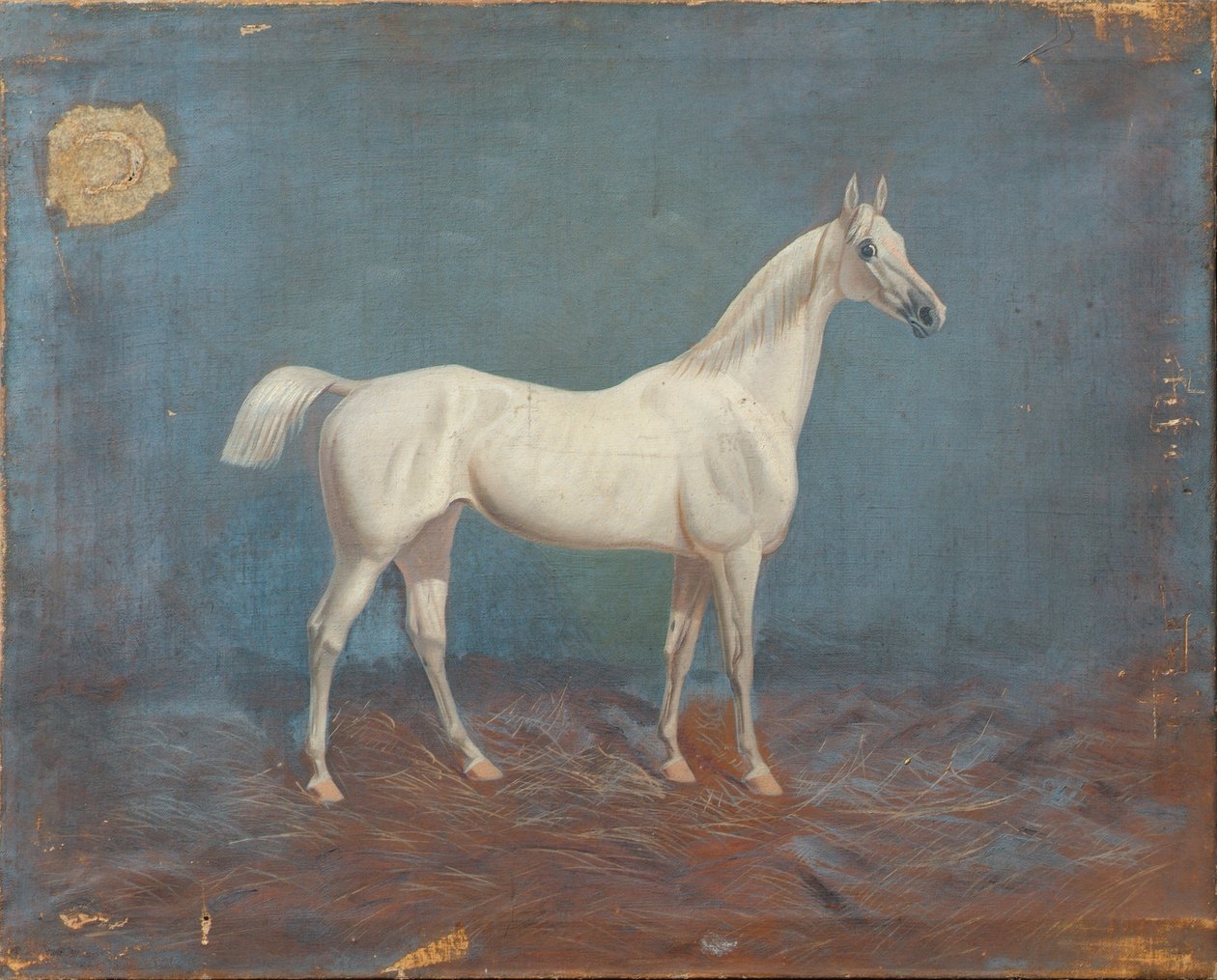 Um molde de Hema A. Groy
