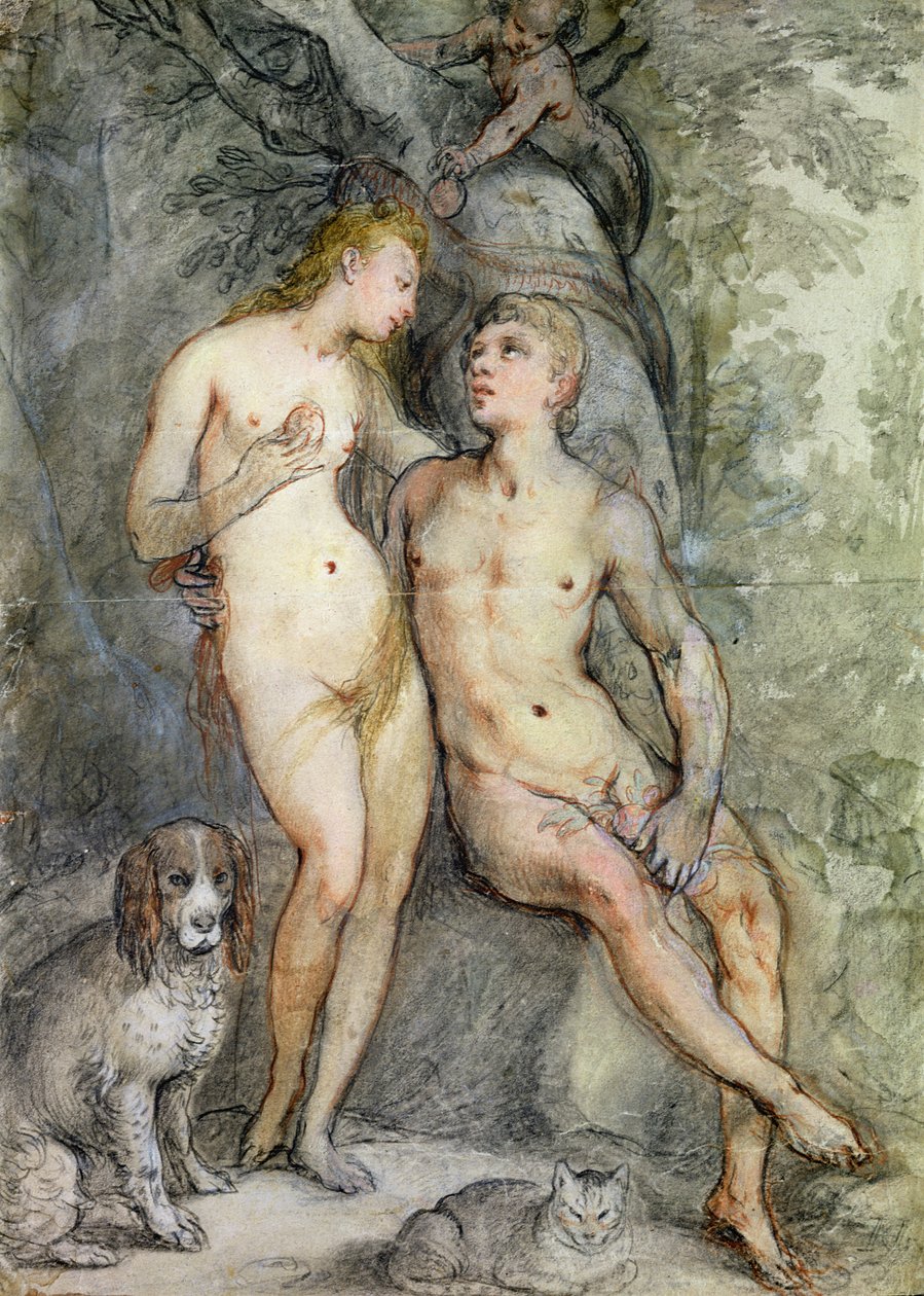 Adão e Eva (lápis e lápis colorido sobre papel) de Hendrik Goltzius