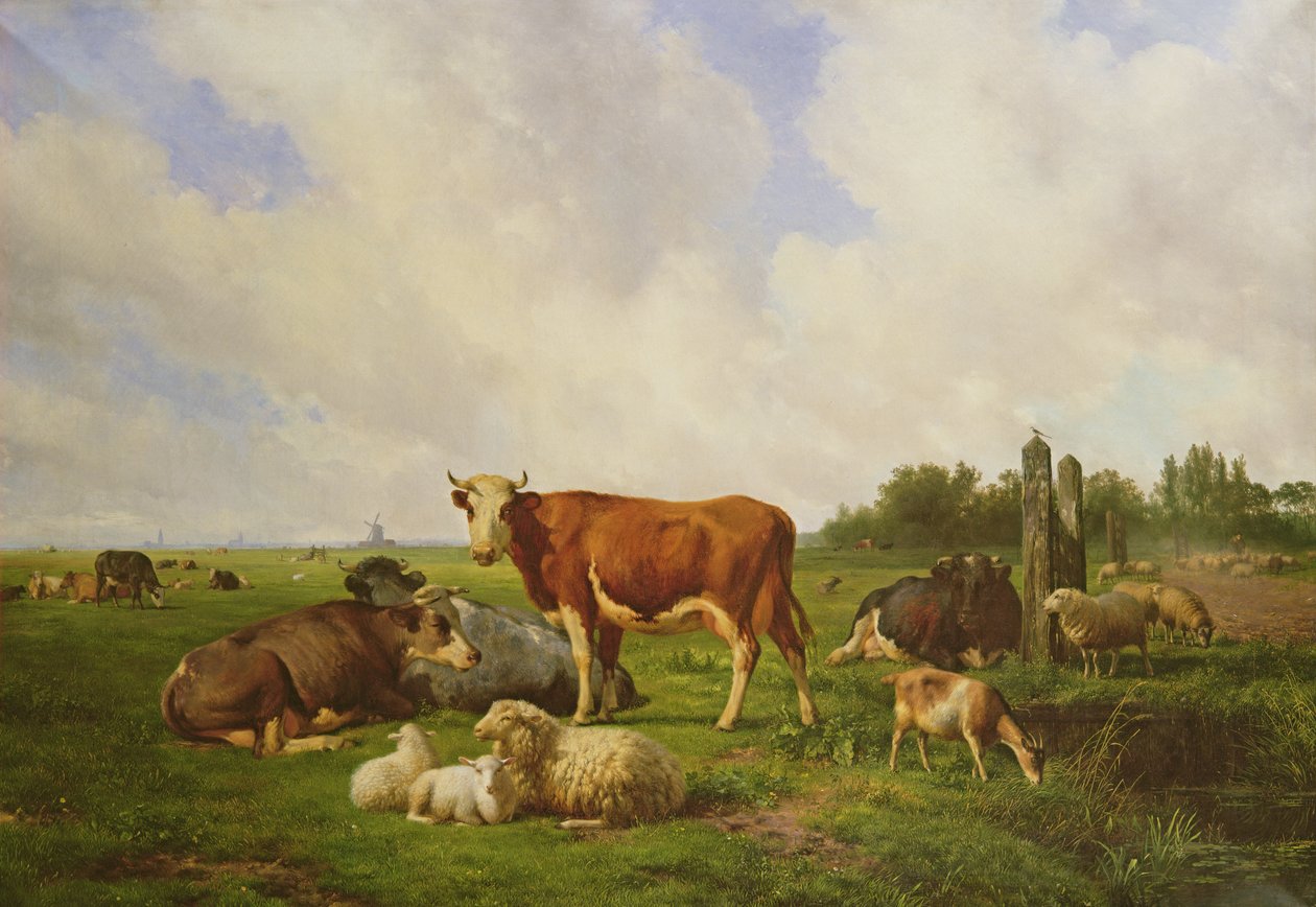 Ovelhas e gado em um campo de Hendrick van de Sande Bakhuyzen