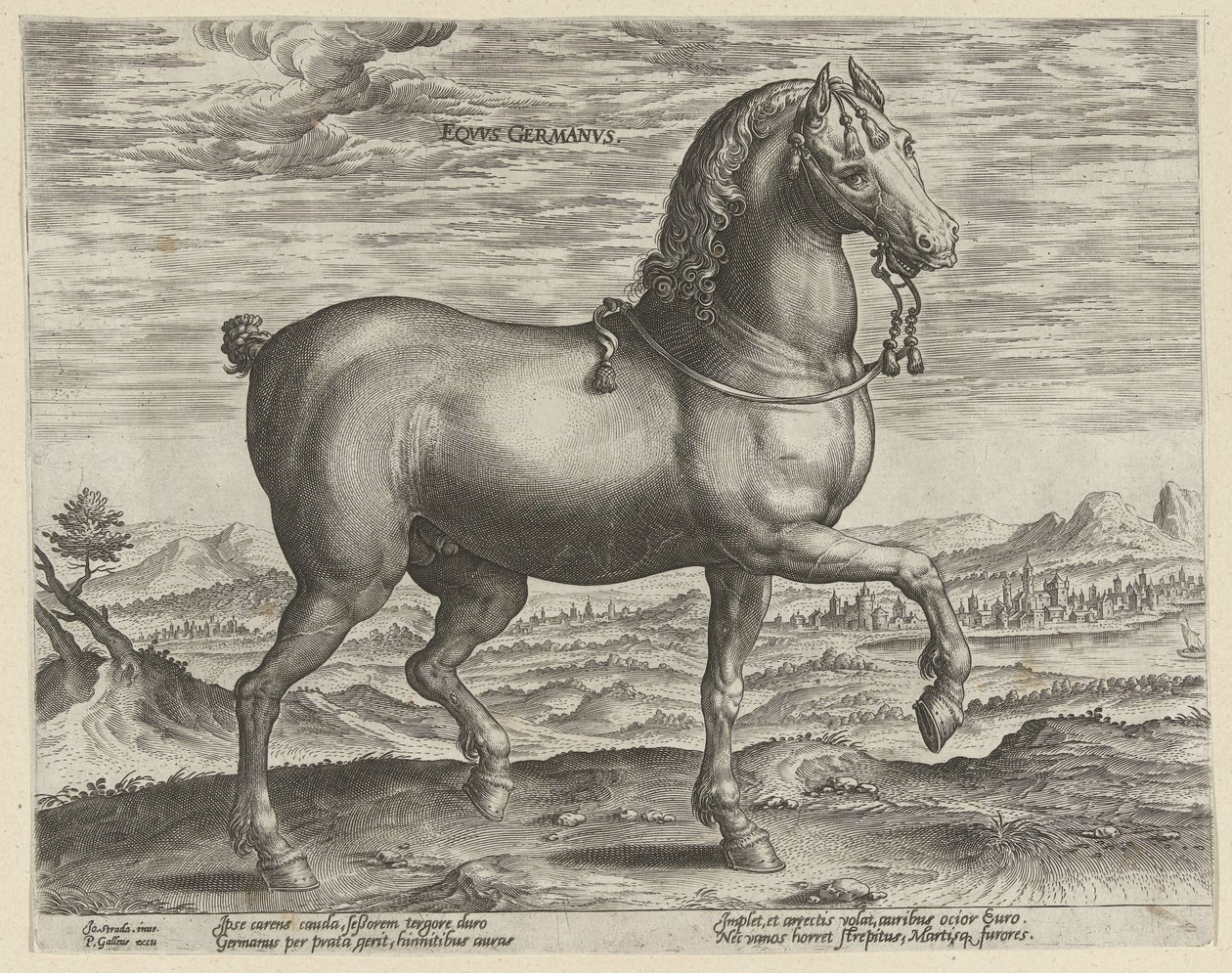 Garanhão da Alemanha Eqvvs Germanvs (título no objeto) Raças de cavalos dos estábulos reais de Don Juan da Áustria (título da série) Equile Ioannis Austriaci Caroli (título da série) de Hendrick Goltzius (possibly)