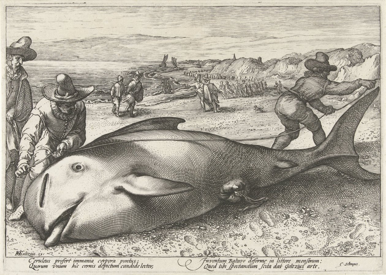 Amigo encalhado na praia perto de Zandvoort, 1594 de Hendrick Goltzius (workshop of)