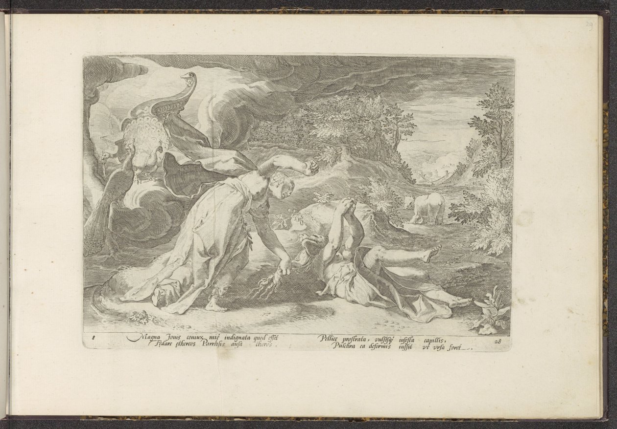 Juno transforma Callisto em um urso Metamorfoses de Ovídio (título da série) Recriações de P. Ovidius Naso (título da série) de Hendrick Goltzius (workshop of)