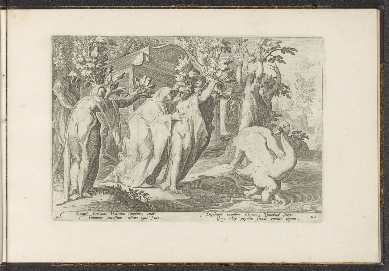 As irmãs de Phaeton transformam-se em choupos e o seu amigo em cisne
Metamorfoses de Ovid (título da série)
Recriações de P. Ovidius Naso (título da série) de Hendrick Goltzius (workshop of)
