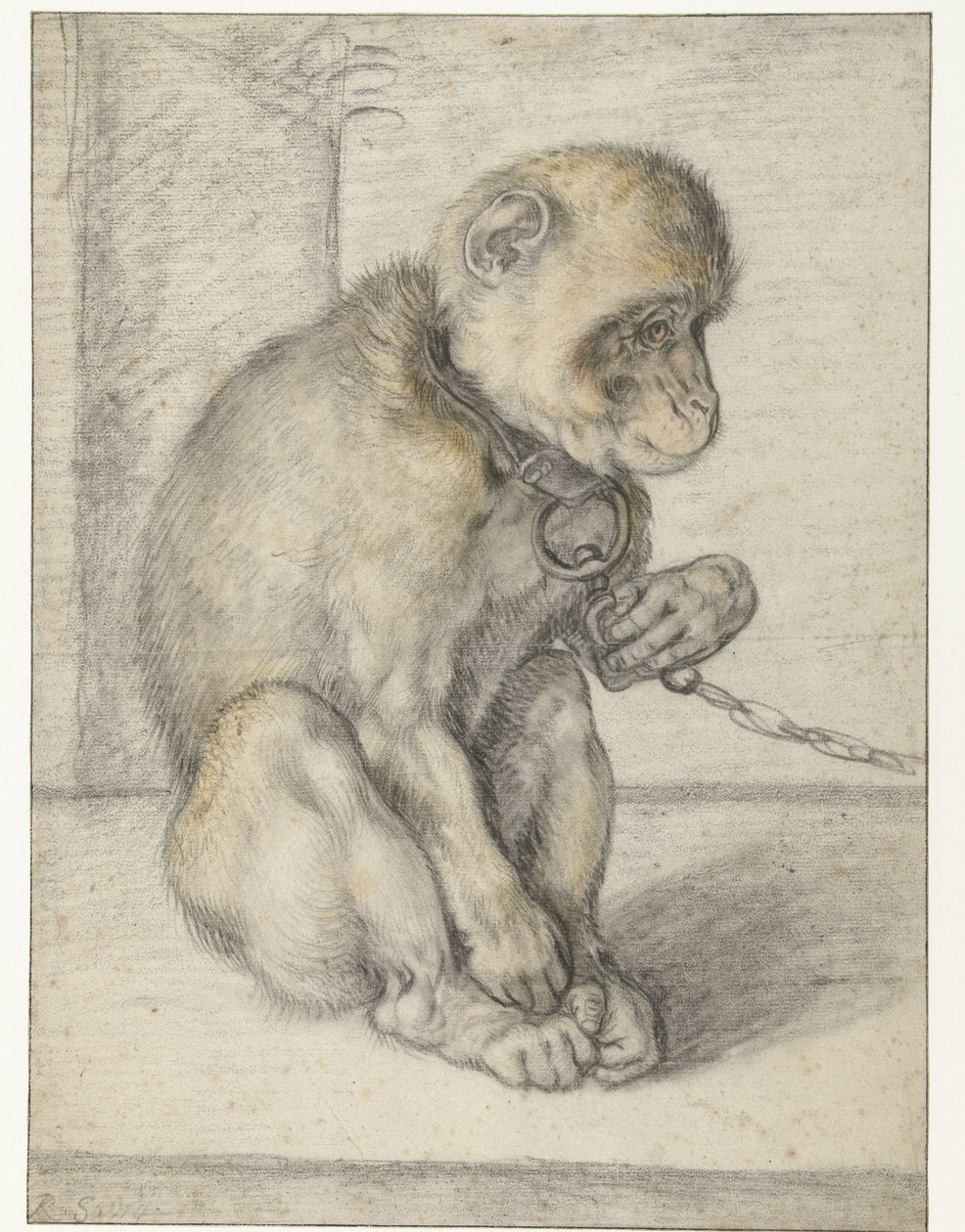 Um macaco sentado numa cadeia
Macaco numa Corrente, sentado de Hendrick Goltzius