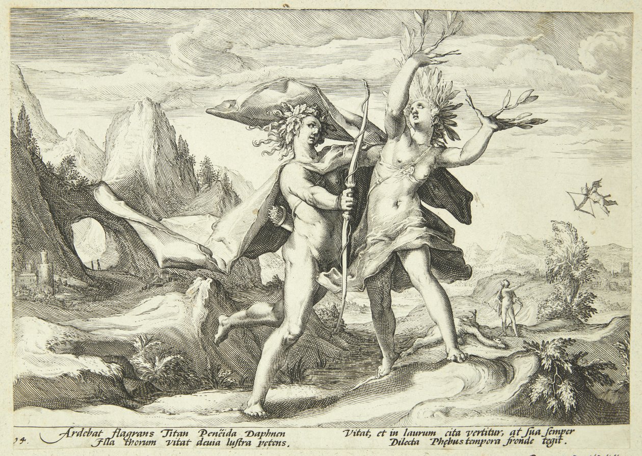 Daphne transformada em loureiro de Hendrick Goltzius