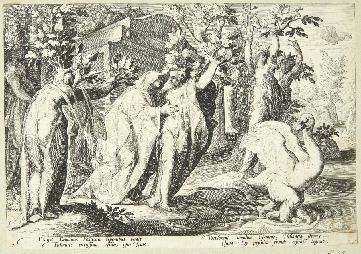 As irmãs de Phaeton são transformadas em álamos e Cygnus em cisne de Hendrick Goltzius