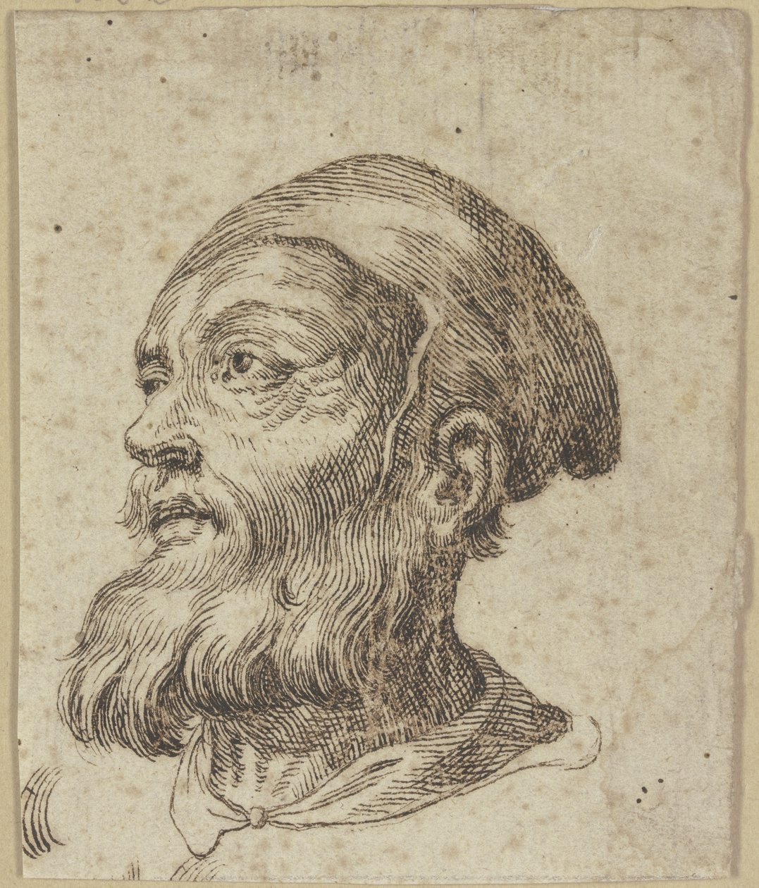 Cabeça de um homem idoso, em perfil de três quartos para a esquerda de Hendrick Goltzius