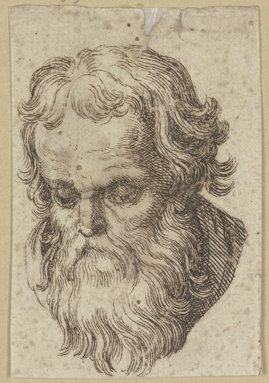 Cabeça de um homem barbudo, inclinada para a frente de Hendrick Goltzius