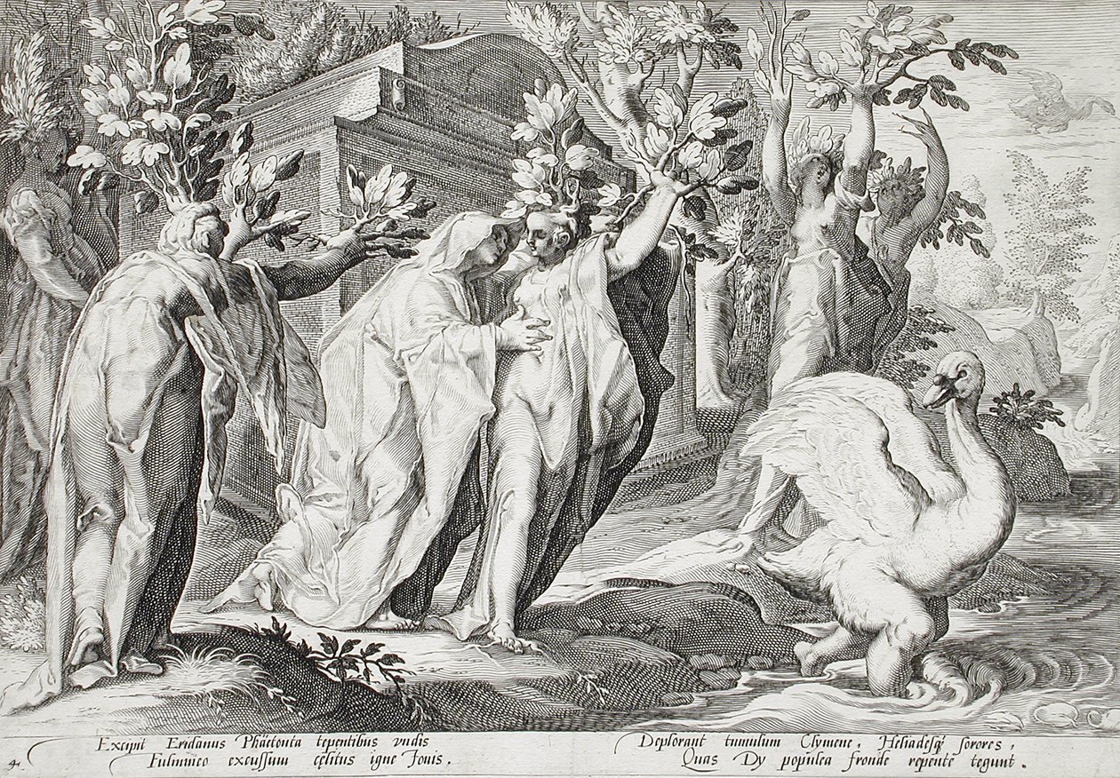 As irmãs de Faetonte transformadas em choupos, e Cigno em cisne de Hendrick Goltzius