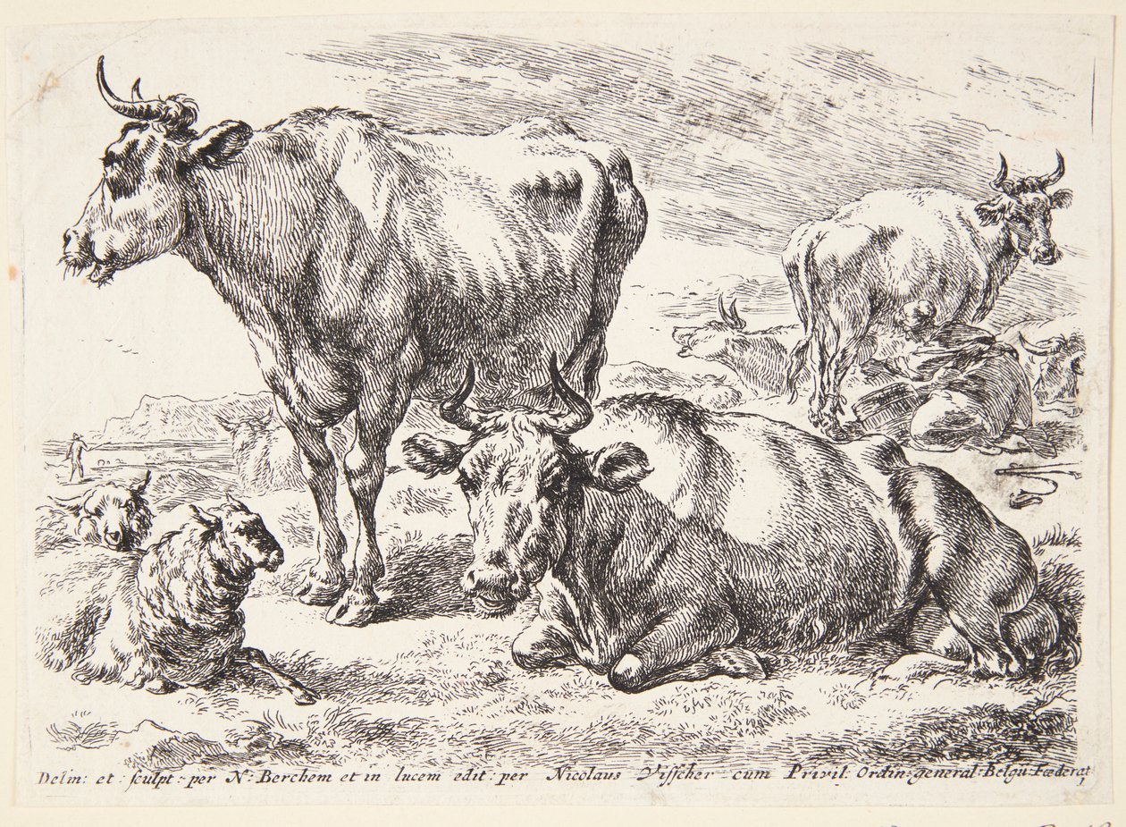 Retrato de um membro da família Out. Cornelis Out (?) de Hendrick Goltzius