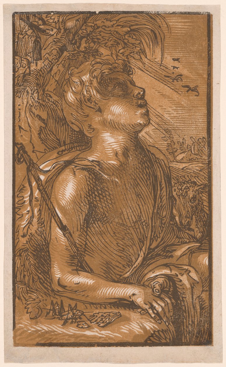 São João Batista de Hendrick Goltzius