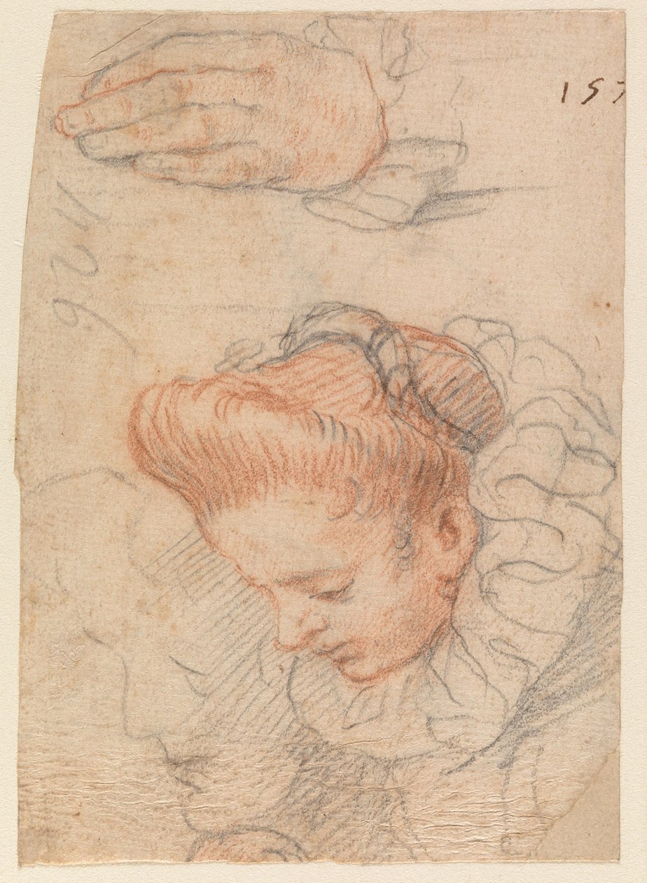 Folha de esboço com cabeça de mulher e mão de Hendrick Goltzius
