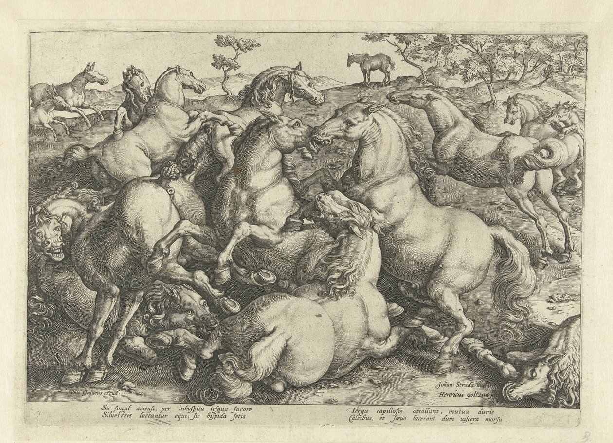 Doze cavalos de luta Raças de Cavalos dos Estábulos Reais de Don Juan da Áustria (título da série) de Hendrick Goltzius
