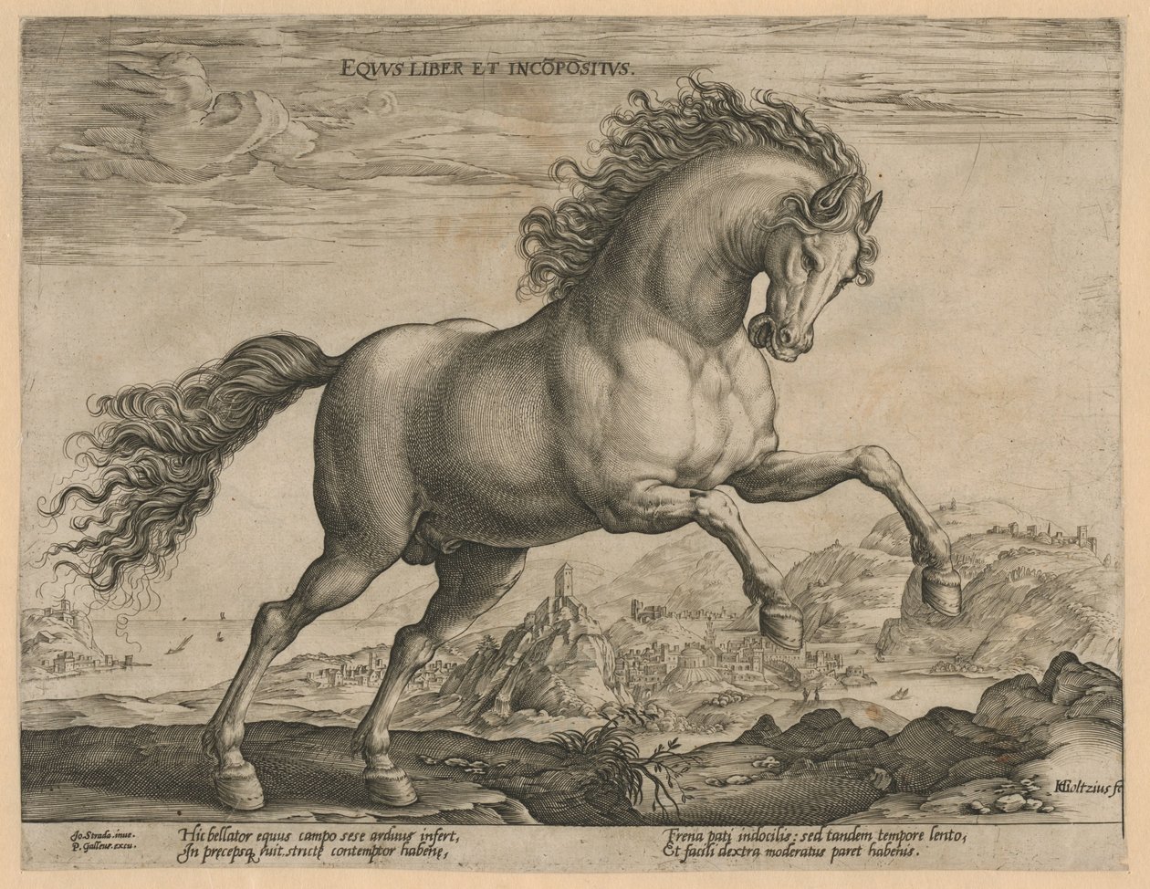 cavalo selvagem Eqvvs liber et incompǒsitvs (título no objeto) Raças de Cavalos dos Estábulos Reais de Don Juan da Áustria (título da série) de Hendrick Goltzius