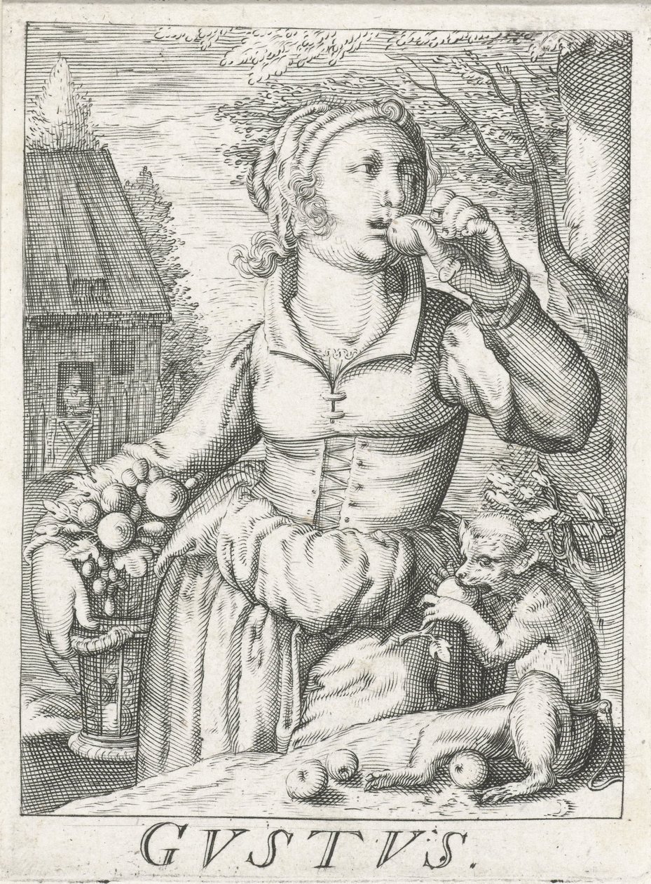 Sabor (Gustus), uma mulher com fruta
Gustus (título sobre o objecto)
Os cinco sentidos (título da série) de Hendrick Hondius (rejected attribution)