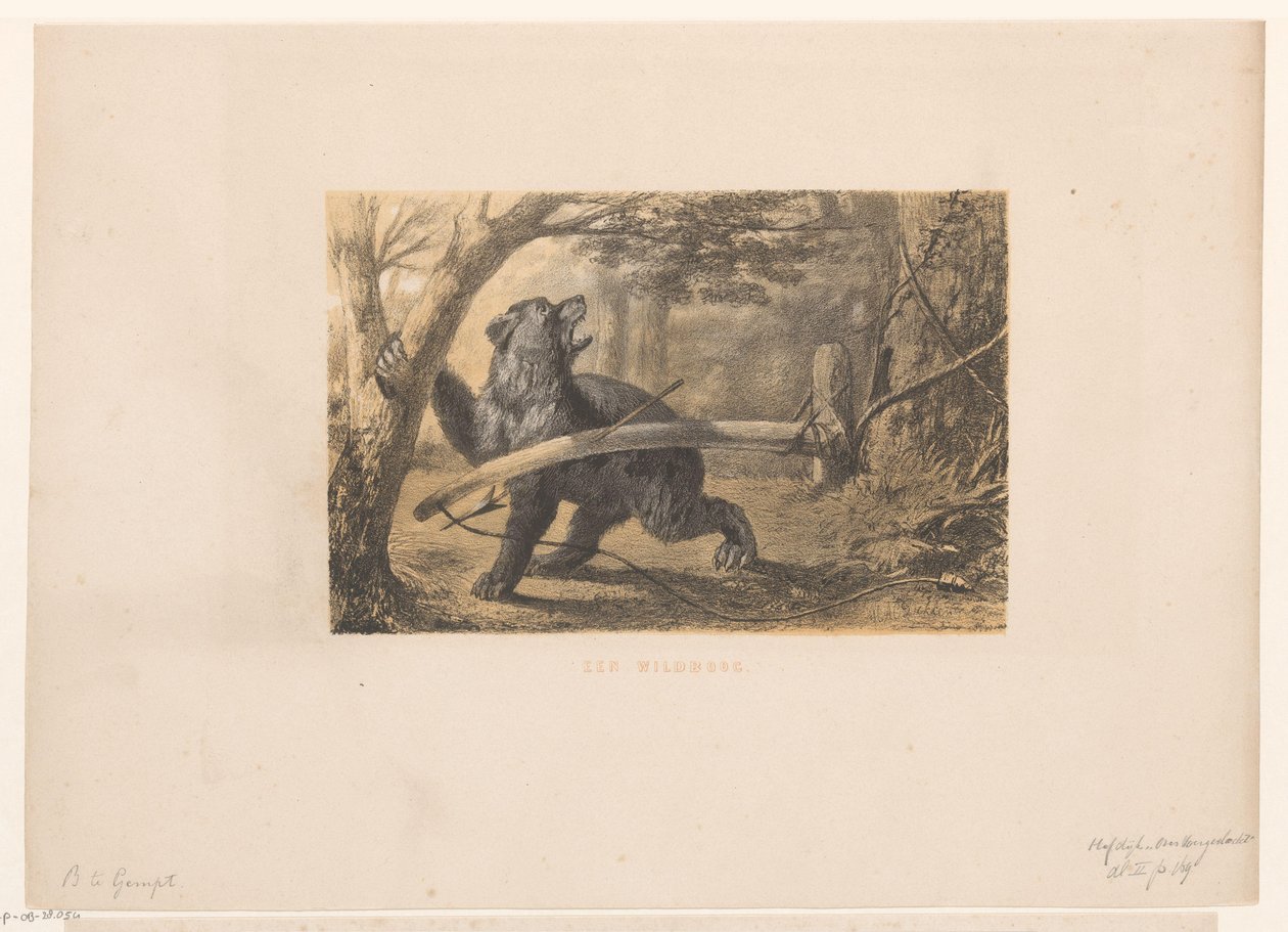Urso numa armadilha
Um arco de jogo (título sobre o objecto) de Hendrik Adriaan Christiaan Dekker