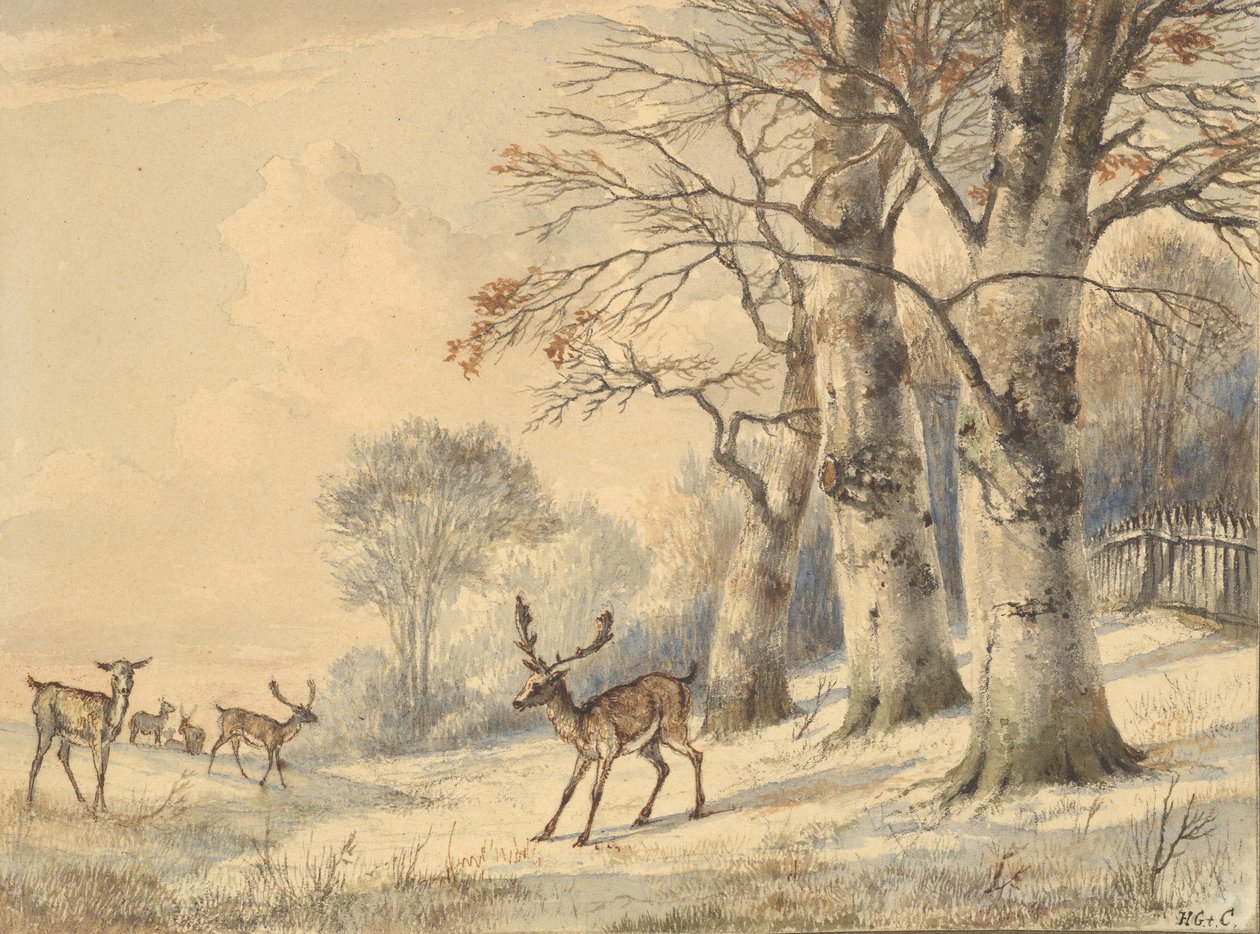 Veado sob faias no verão de 1853. de Hendrik Gerrit ten Cate