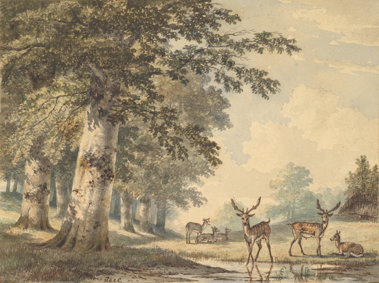 Veado sob faias no inverno de 1853. de Hendrik Gerrit ten Cate
